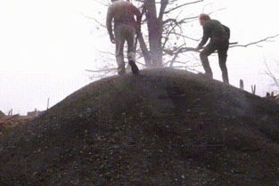 手工制作烧烤木炭与薪柴销售指南